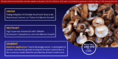 Global Shiitake Mushroom Market