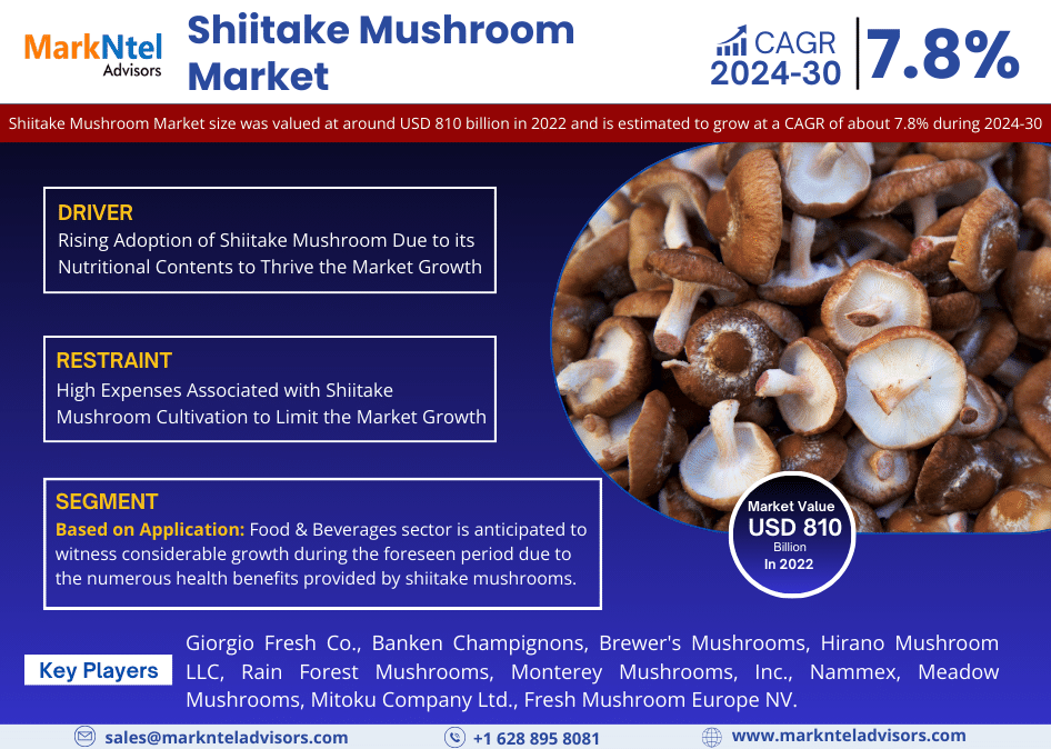 Shiitake Mushroom Market