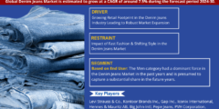 Denim Jeans Market Analysis and Forecast, 2024-2030