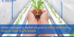 hydroponics market Report Share and Growth 2024–2030