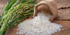 Global Rice Market Report Share and Growth 2023–2028