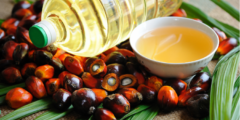 Palm Oil Market Report Share and Growth 2023-2028