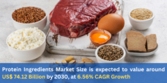 Protein Ingredients Market  Report Share and Growth 2024-2030