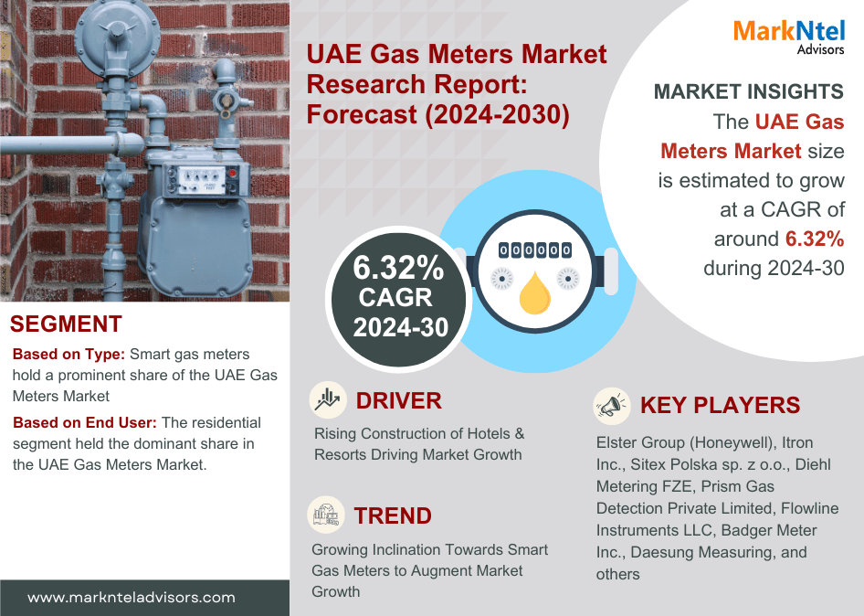 United Arab Emirates (UAE) Gas Meters Market